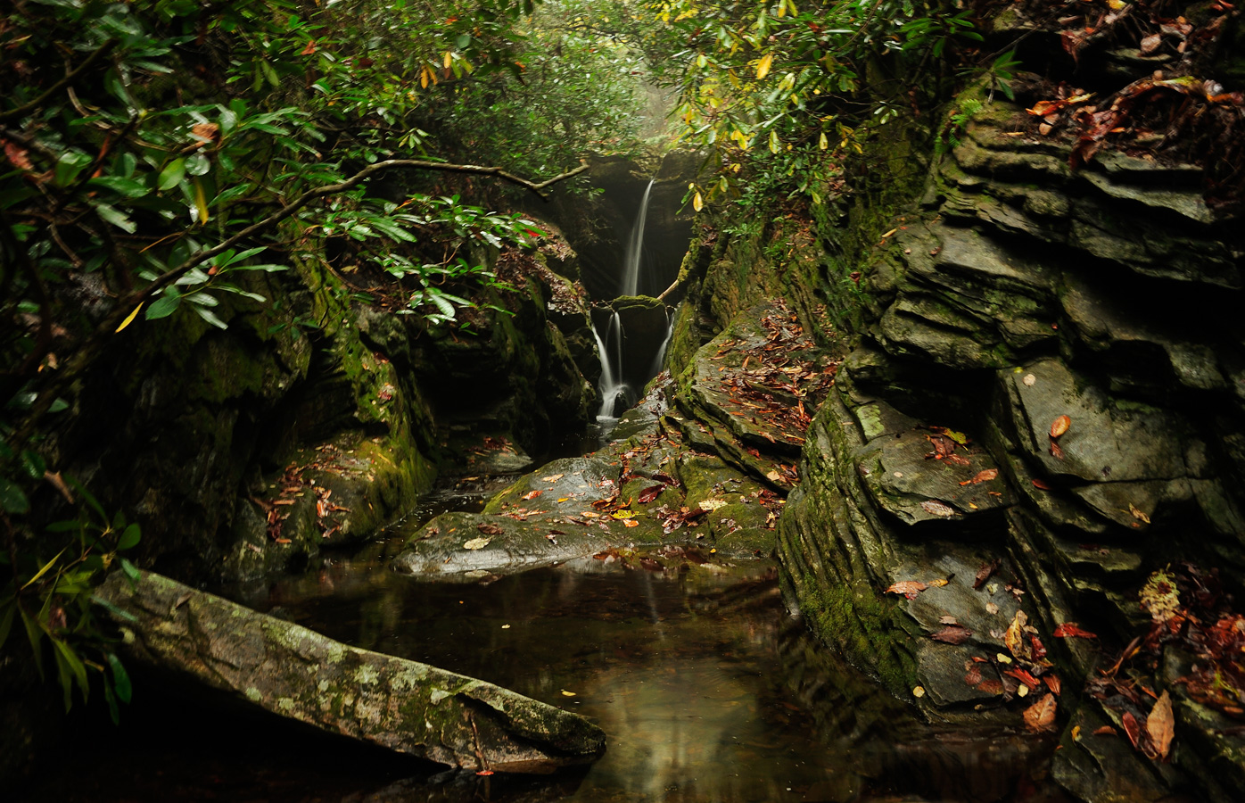 North Carolina [36 mm, 0.4 Sek. bei f / 8.0, ISO 400]